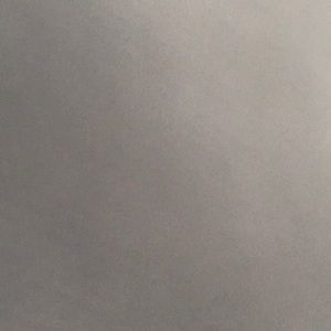 Meet your Posher, Dareena